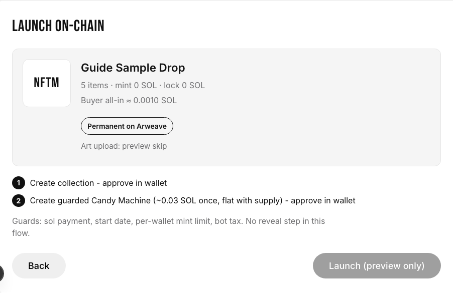Figure 5. Launch On-Chain review with store preview.